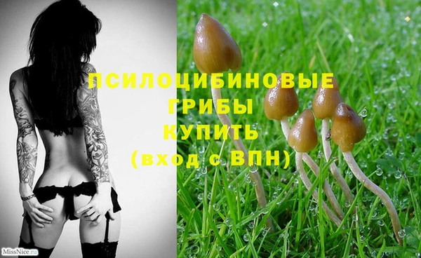 прущая мука Белоозёрский