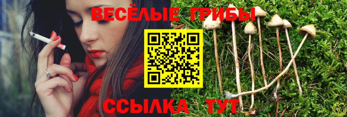 Псилоцибиновые грибы Cubensis Верхний Уфалей